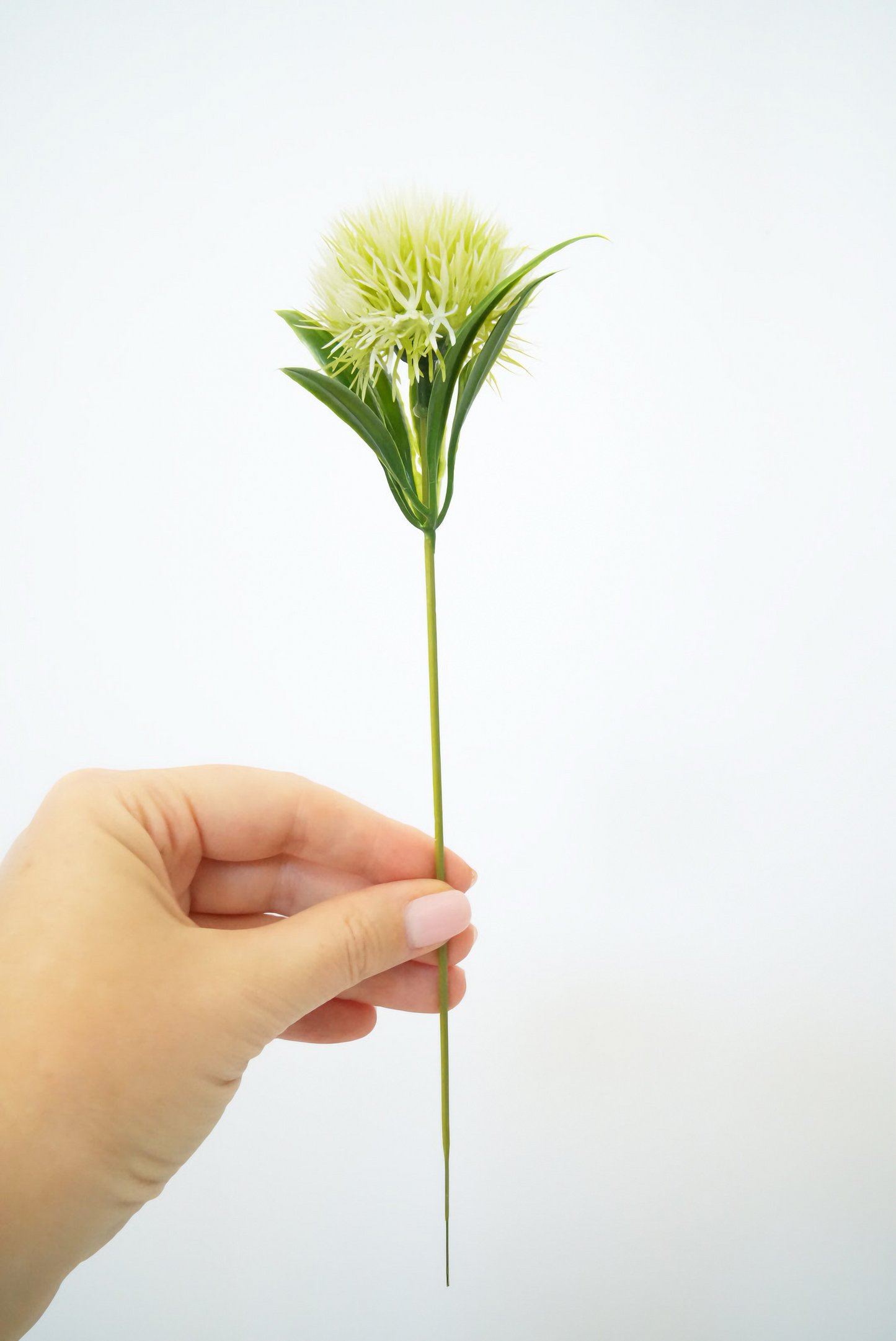 10pcs White Artificial Dandelions